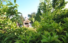 Perkovic Ana: General view - photo 24