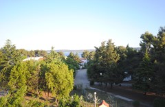 Perkovic Ana: General view - photo 25