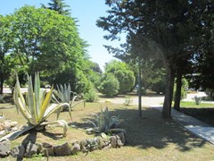 Perkovic Ana: Beach - photo 16