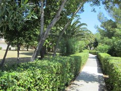 Perkovic Ana: Beach - photo 19