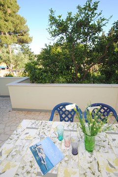 Perkovic Ana: Terrace - photo 3