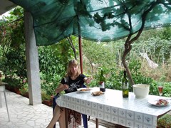 Perkovic Ana: Terrace - photo 7