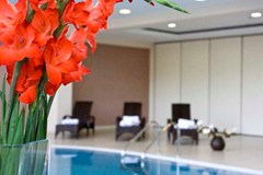 President Solin: Pool - photo 49