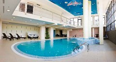 President Solin: Pool - photo 53