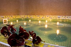 President Solin: Pool - photo 55