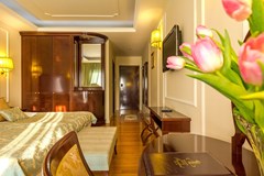 President Solin: Room DOUBLE SINGLE USE STANDARD - photo 63