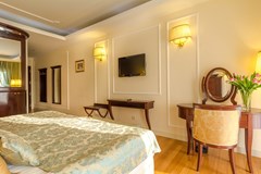 President Solin: Room SINGLE STANDARD - photo 69