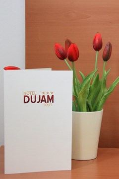 Hotel Dujam: General view - photo 11