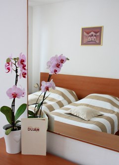 Hotel Dujam: Room TWIN STANDARD - photo 10