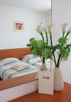 Hotel Dujam: Room TWIN STANDARD - photo 14