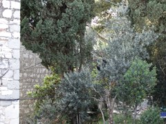 Guesthouse Marileo: Room STUDIO CAPACITY 2 - photo 28