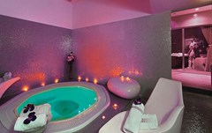 Hotel Luxe: Sports and Entertainment - photo 8