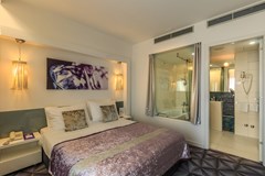 Hotel Luxe: Room SUITE DELUXE - photo 25