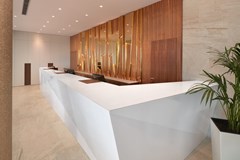 Amphora: Lobby - photo 8