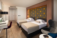 Amphora: Room DOUBLE STANDARD - photo 38