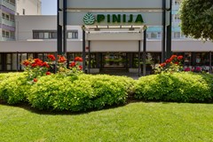 Pinija: General view - photo 64
