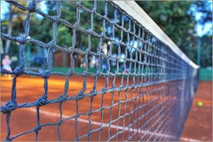 Pinija: Sports and Entertainment - photo 67