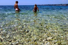 Pinija: Beach - photo 21