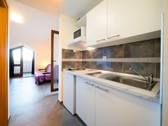 Aparthotel Villa Plat: Room APARTMENT SEA VIEW WITH BALCONY - photo 200