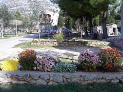 Vicko: General view - photo 1