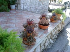 Vicko: General view - photo 21