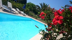 Villa Stari Dvor: Pool - photo 11