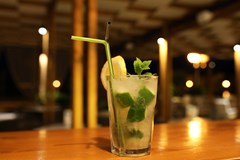 Vile Dalmacija: Bar - photo 32