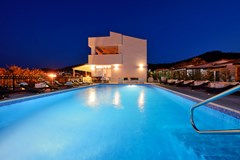 Vile Dalmacija: Pool - photo 10