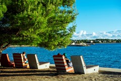 Zaton Holiday Resort 3*: Beach - photo 23
