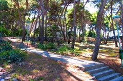 Agava: General view - photo 5