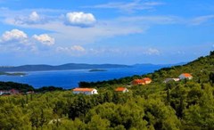 Agava: General view - photo 11