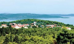 Agava: General view - photo 12