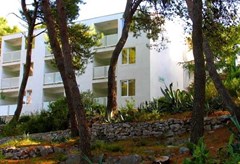 Agava: General view - photo 13