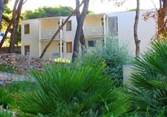 Agava: General view - photo 14