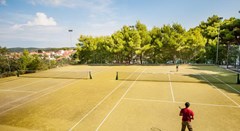 Agava: Sports and Entertainment - photo 2