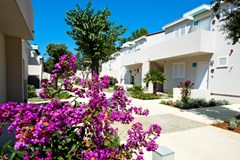 Zaton Holiday Resort Apartments 4*: Room - photo 48