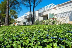 Zaton Holiday Resort Apartments 4*: Room - photo 5