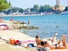Apartment Palcic