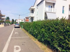 Apartments Lili: General view - photo 4