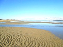 Apartments Vesna: Beach - photo 15