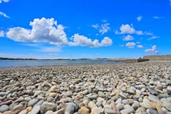 Apartments Ivona: Beach - photo 10