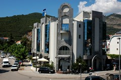 Blue Star: General view - photo 1