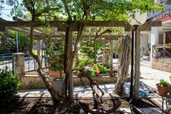 Guest House Blue Coast: General view - photo 18