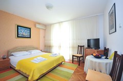 Balic Apartments: Room STUDIO STANDARD - photo 71