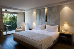 Palmon Bay Hotel & Spa: Room DOUBLE LAND VIEW - photo 50