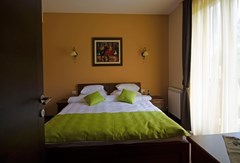 Monte Rosa: Room DOUBLE STANDARD - photo 4