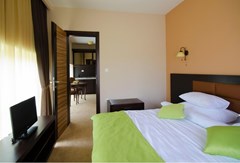 Monte Rosa: Room DOUBLE STANDARD - photo 12