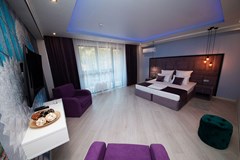 Voque Hotel Otel`: Стандартный ПК 2-местный - photo 19