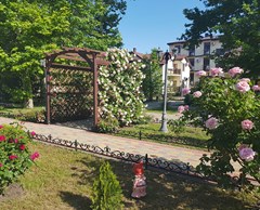 Platan Rezort (Vityazevo) Pansionat: Территория - photo 4