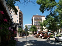 MPM Orel Hotel - photo 24